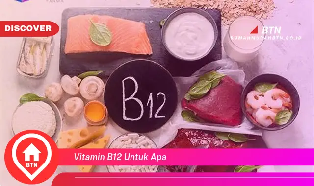 vitamin b12 untuk apa