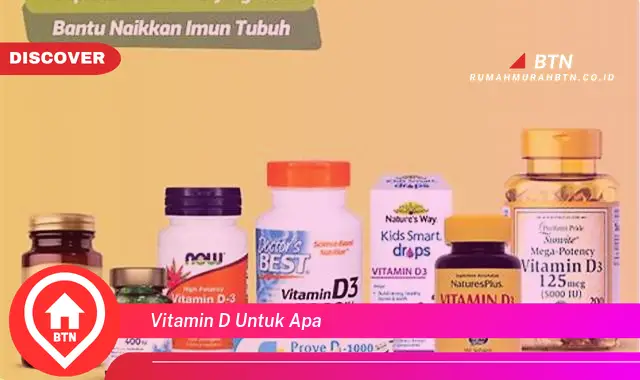 vitamin d untuk apa