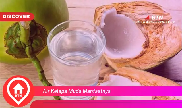 air kelapa muda manfaatnya