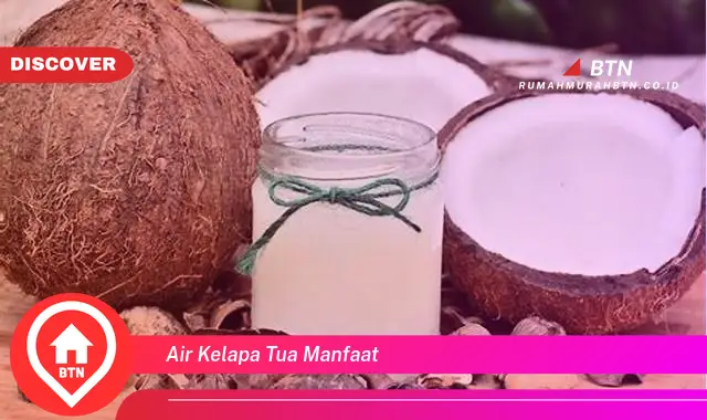 air kelapa tua manfaat