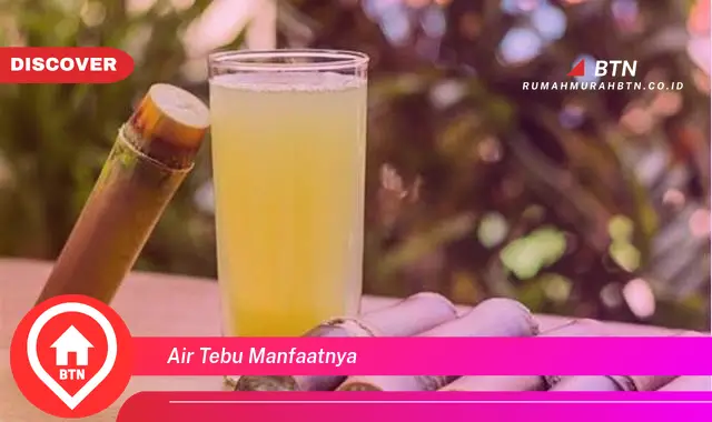 air tebu manfaatnya