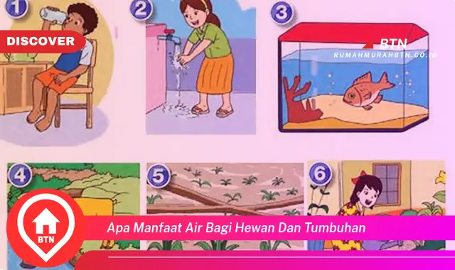 apa manfaat air bagi hewan dan tumbuhan