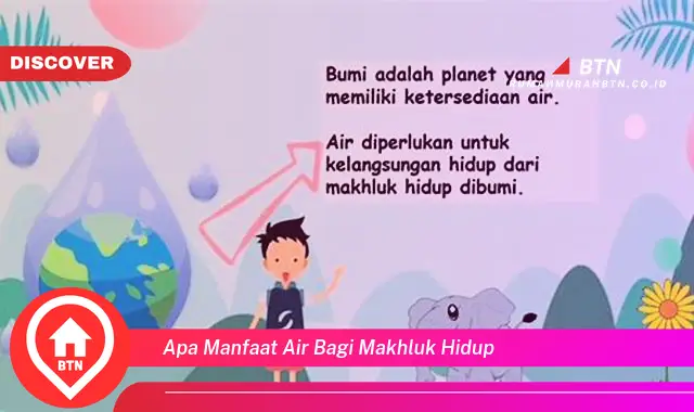 apa manfaat air bagi makhluk hidup