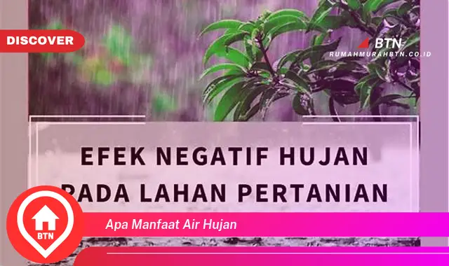 apa manfaat air hujan