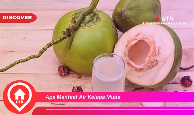 apa manfaat air kelapa muda