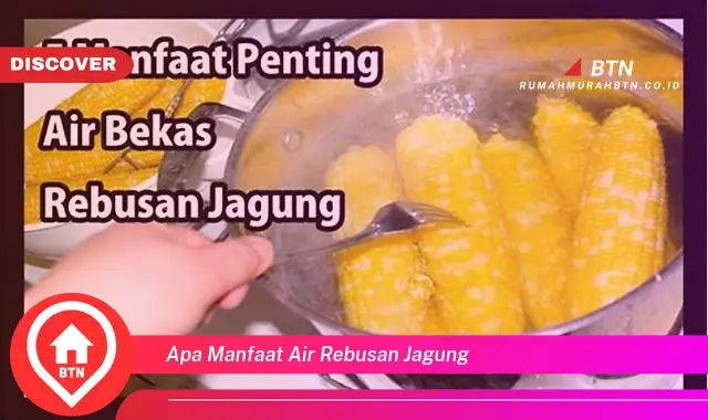 apa manfaat air rebusan jagung