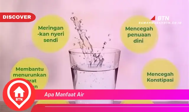 apa manfaat air