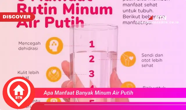 apa manfaat banyak minum air putih