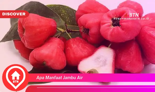 apa manfaat jambu air