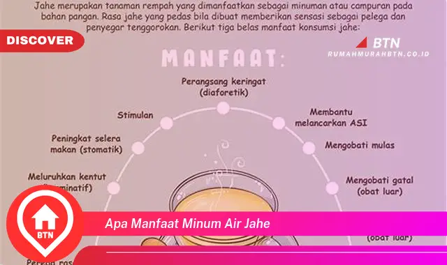 apa manfaat minum air jahe