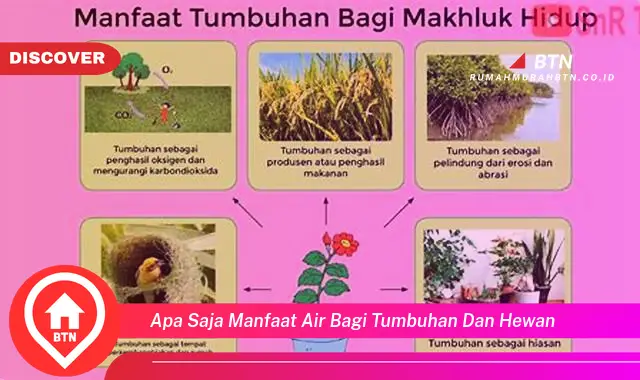 apa saja manfaat air bagi tumbuhan dan hewan