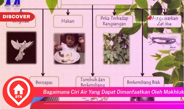 bagaimana ciri air yang dapat dimanfaatkan oleh makhluk hidup