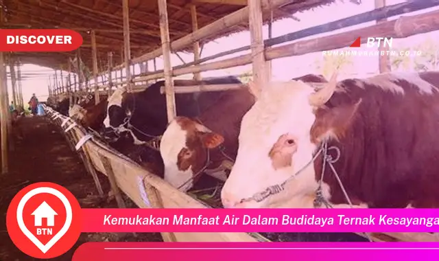 kemukakan manfaat air dalam budidaya ternak kesayangan