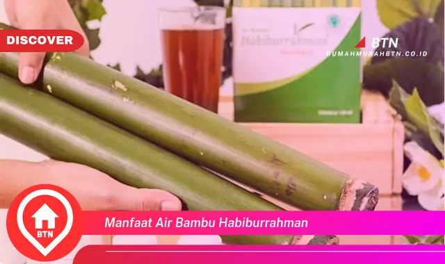 manfaat air bambu habiburrahman