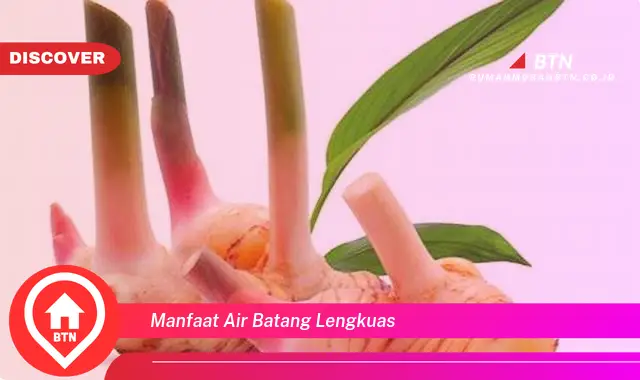 manfaat air batang lengkuas