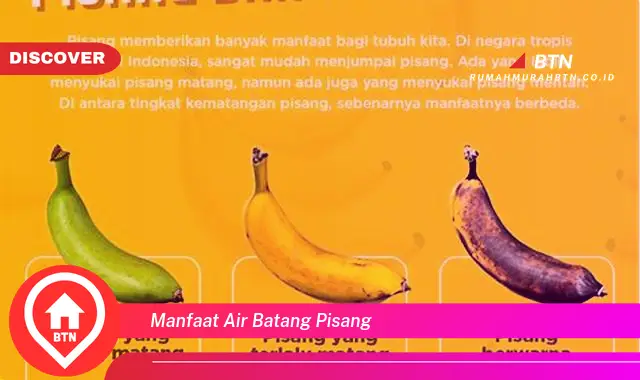 manfaat air batang pisang