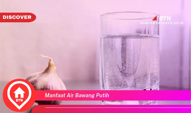 manfaat air bawang putih