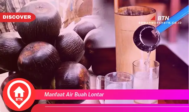 manfaat air buah lontar