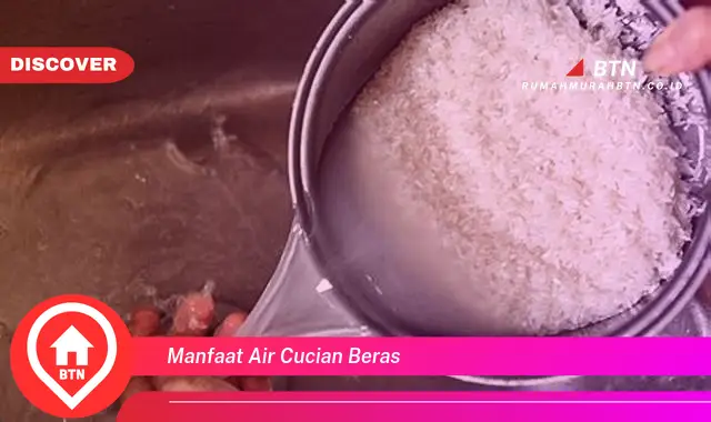 manfaat air cucian beras