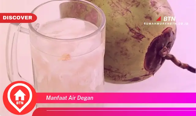 manfaat air degan