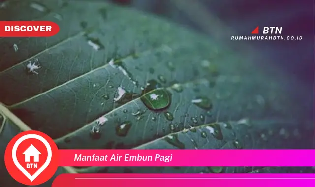 manfaat air embun pagi