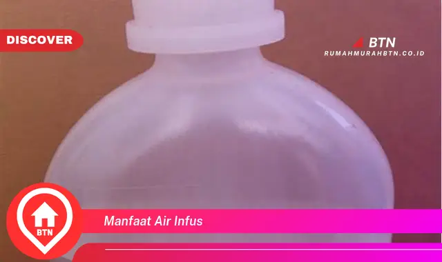 manfaat air infus