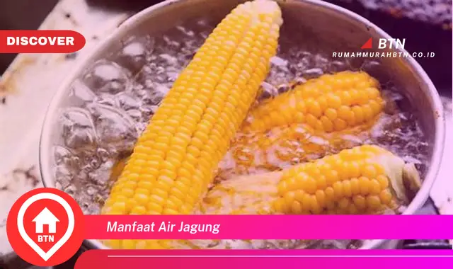 manfaat air jagung