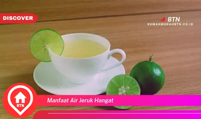 manfaat air jeruk hangat