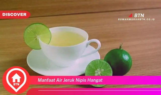 manfaat air jeruk nipis hangat