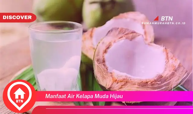 manfaat air kelapa muda hijau