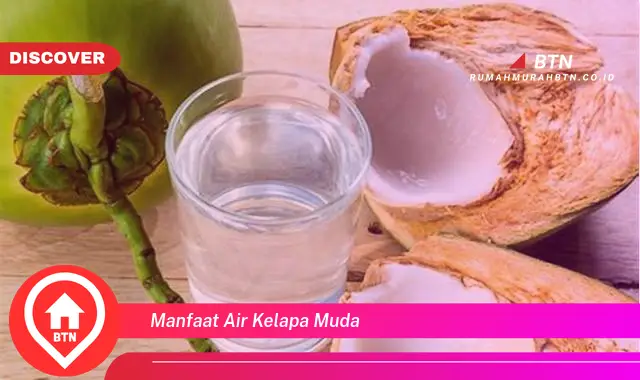 manfaat air kelapa muda