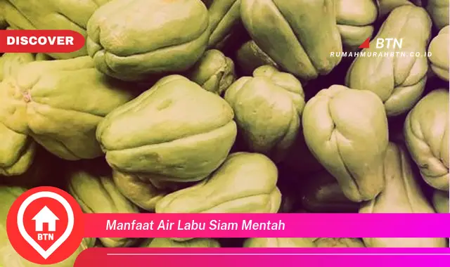 manfaat air labu siam mentah