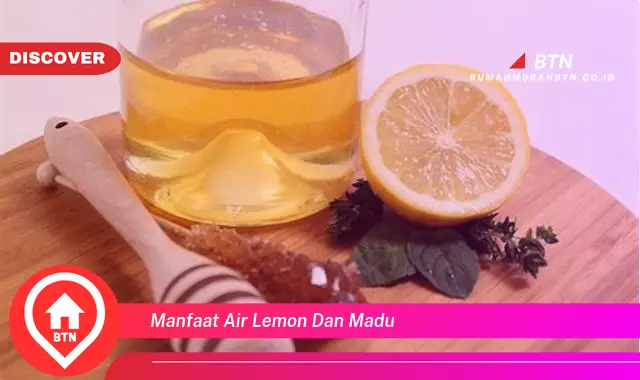 manfaat air lemon dan madu