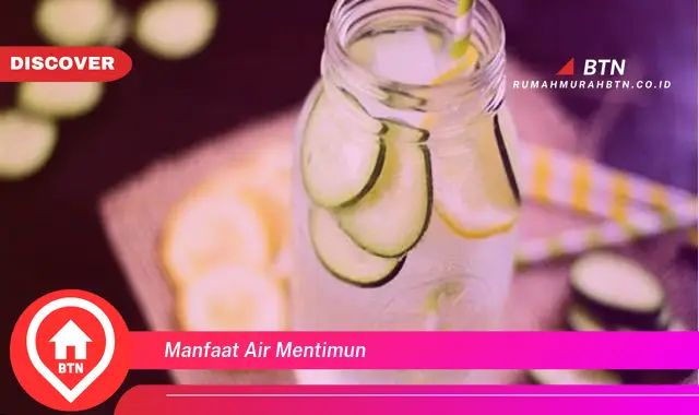 manfaat air mentimun