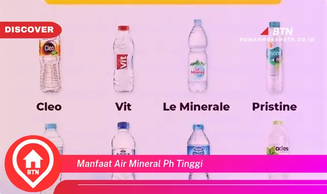 manfaat air mineral ph tinggi