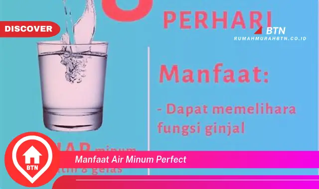 manfaat air minum perfect