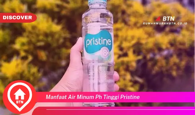 manfaat air minum ph tinggi pristine