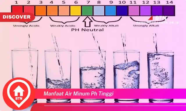 manfaat air minum ph tinggi