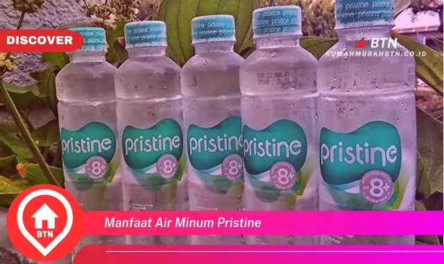 manfaat air minum pristine