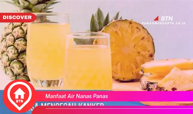 manfaat air nanas panas