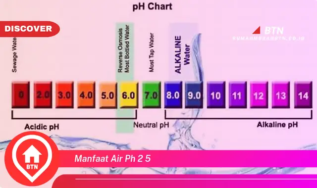 manfaat air ph 2 5