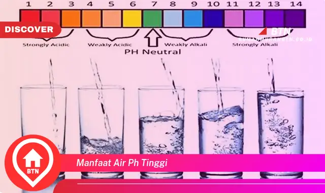 manfaat air ph tinggi