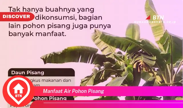 manfaat air pohon pisang