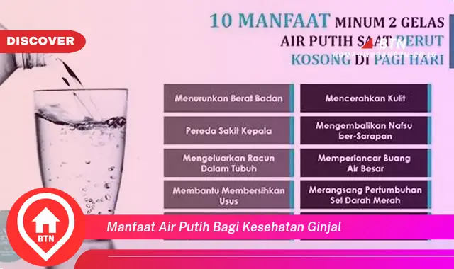 manfaat air putih bagi kesehatan ginjal