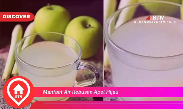 manfaat air rebusan apel hijau