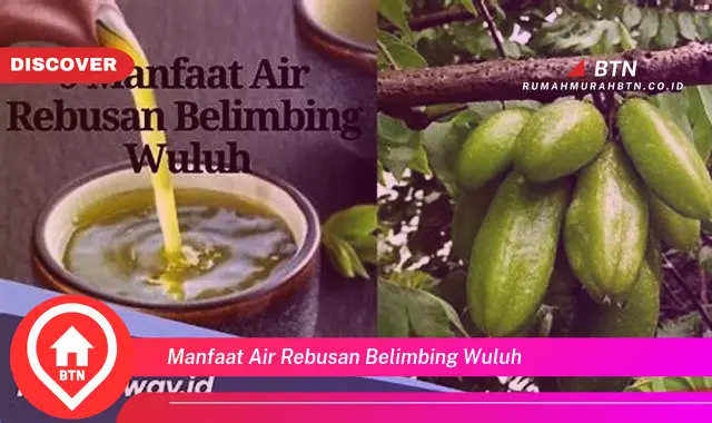 manfaat air rebusan belimbing wuluh