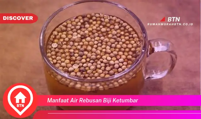 manfaat air rebusan biji ketumbar