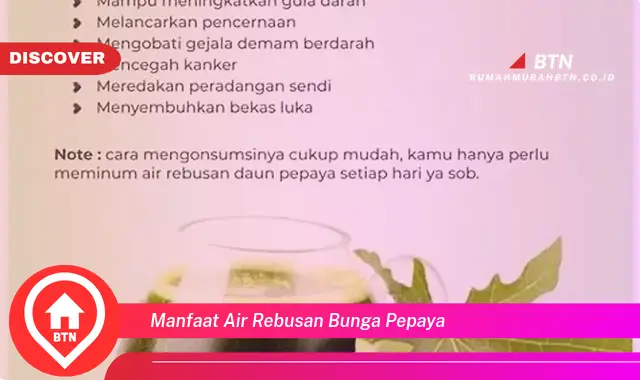 manfaat air rebusan bunga pepaya