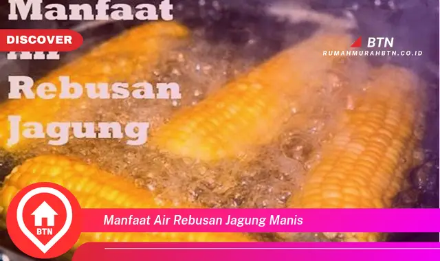 manfaat air rebusan jagung manis