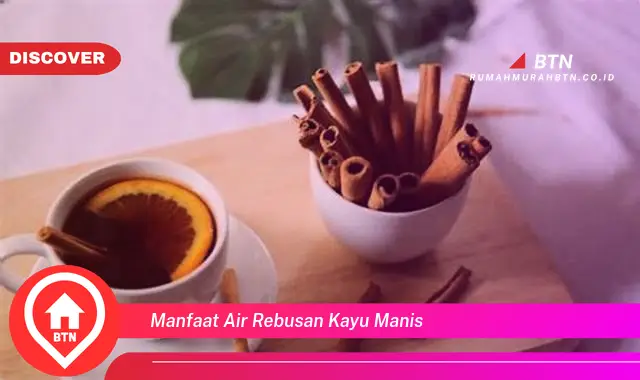 manfaat air rebusan kayu manis